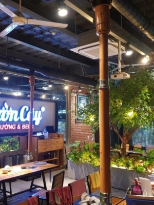 THI CÔNG SƯỜN CÂY LÝ THÁI TỔ